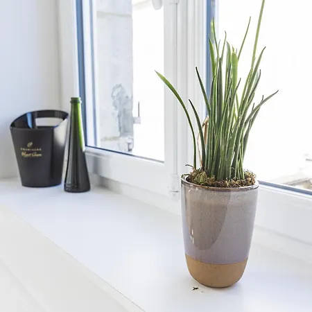 Apartamento L'ecrin D'auguste - *