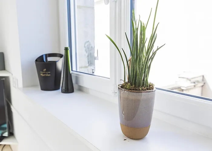 شقة L'ecrin D'auguste - *